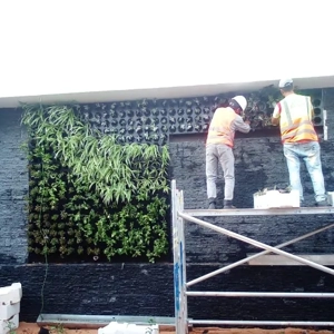 Vertical Gardening Service