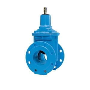 Gate Valve