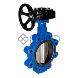 Butterfly Valve