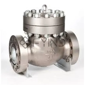 Check Valve