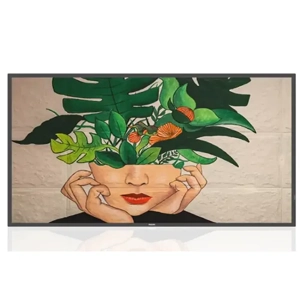 Television