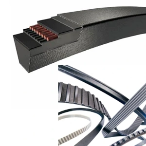 V Belt