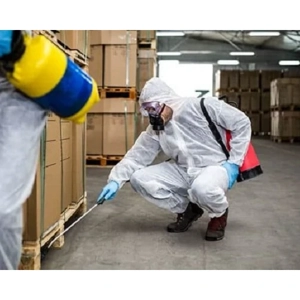 Structural Pest Control