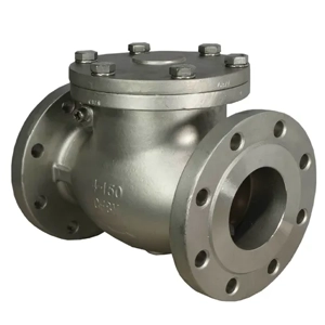 Check Valve
