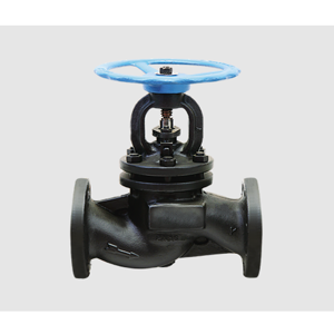 Globe Valve