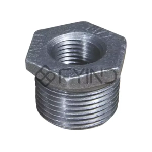 Pipe Bushing