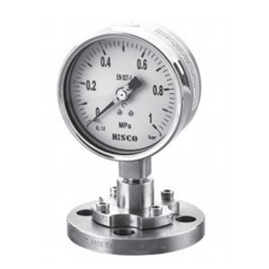 Pressure Gauge