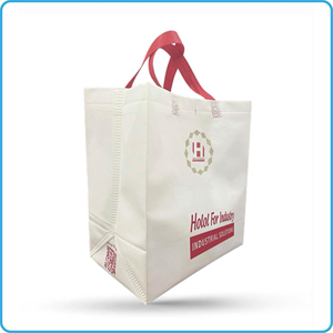 Unwoven Fabric Bag