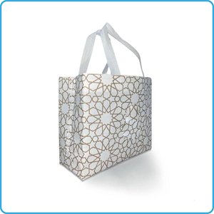 Unwoven Fabric Bag