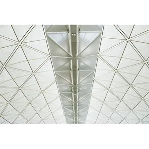 Ceiling Panel