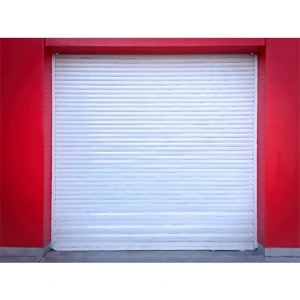 Rolling Shutter Door