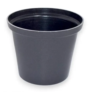 Commercial Use Mold