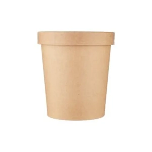 Disposable Food Container