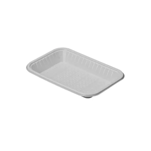 Disposable Food Tray