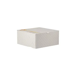 Packaging Box
