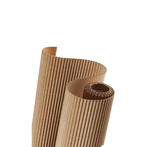 Packaging Carton