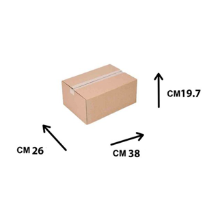 Shipping Carton