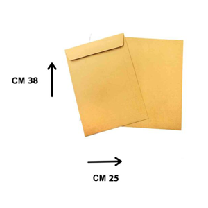 Shipping Envelop