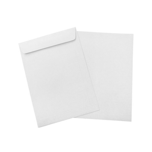 Shipping Envelope