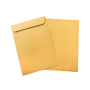 Shipping Envelop