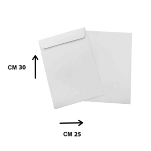 Shipping Envelop