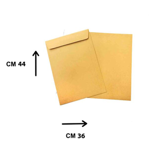 Shipping Envelop