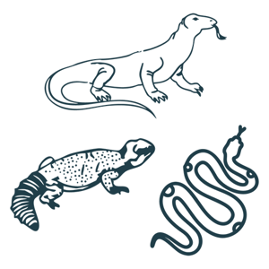 Structural Pest Control