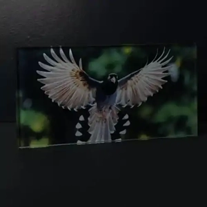Digital Printed Glass