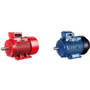 Electric Motor