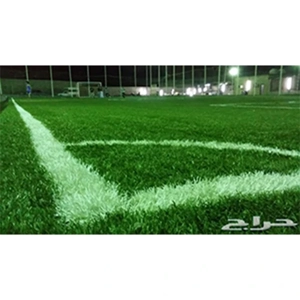 Artificial Turf