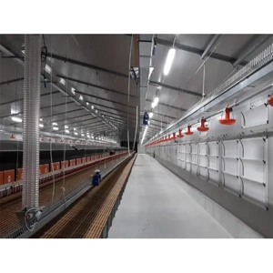 Livestock Infrastructure Design & Construction Service