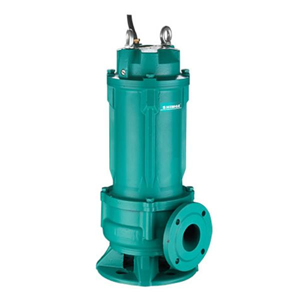 Sewage Pump
