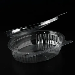 Disposable Food Container