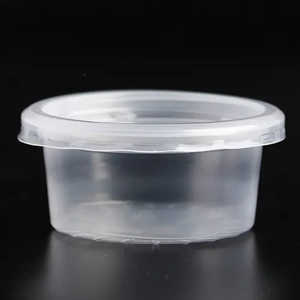 Disposable Food Container