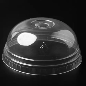Disposable Lid