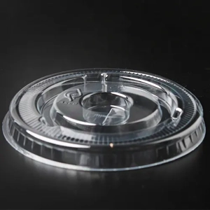 Disposable Lid