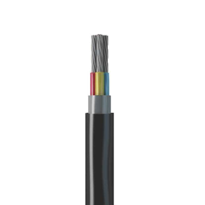 Power Cable