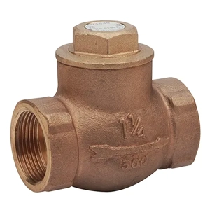Check Valve