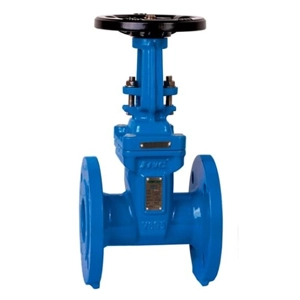 Gate Valve