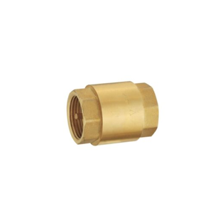 Check Valve