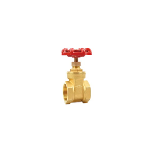 Gate Valve