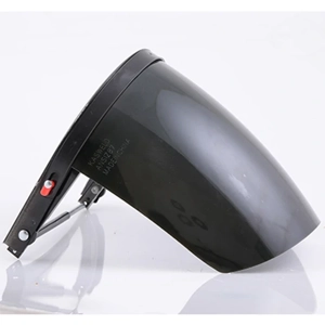 Facial Shield