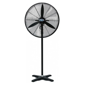 Standing Fan