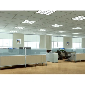 Ceiling Panel