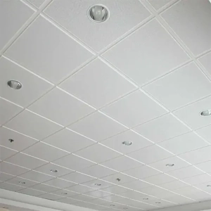 Ceiling Panel