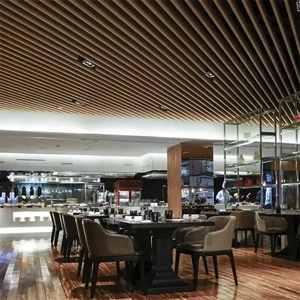 Suspended Ceiling System