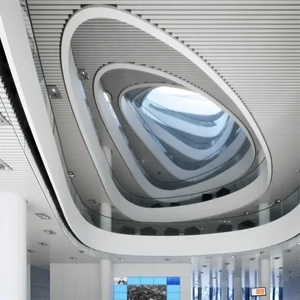 Suspended Ceiling System