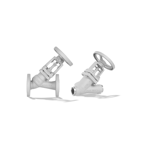 Globe Valve