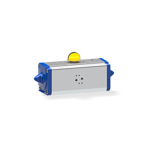 Pneumatic Actuator