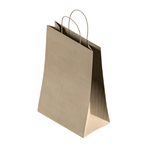Paper Bag